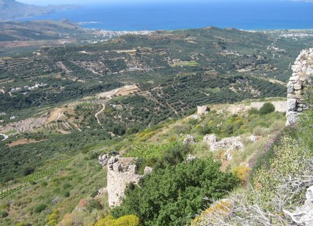 Polyrhinia ruins